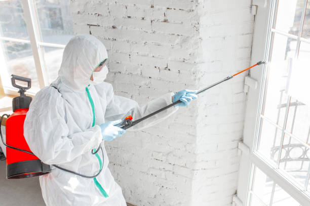  Felton, DE Mold Removal & Remediation Pros